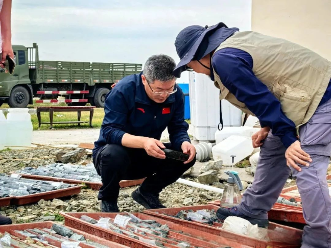 1755479350359031357.png auto